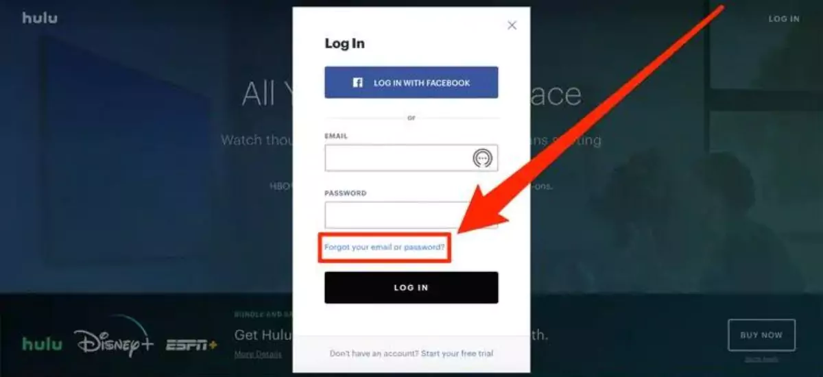 How To Change Hulu Password? 